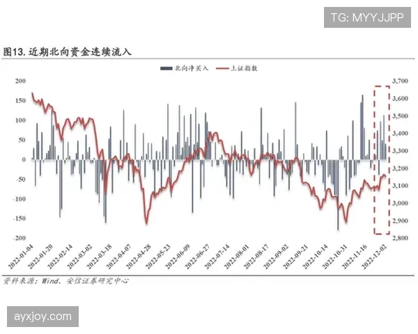 琼阿梅尼为何评价两极分化:战术适应性与表现稳定性分析 琼阿梅尼为何评价两极分化:战术适应性与表现稳定性分析